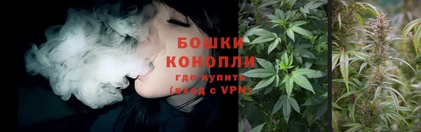 ПСИЛОЦИБИНОВЫЕ ГРИБЫ Беломорск