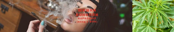 ПСИЛОЦИБИНОВЫЕ ГРИБЫ Беломорск