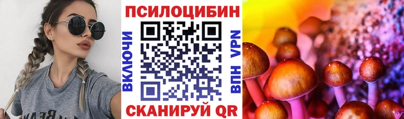 купить  цена  Вязники  Псилоцибиновые грибы Psilocybe 