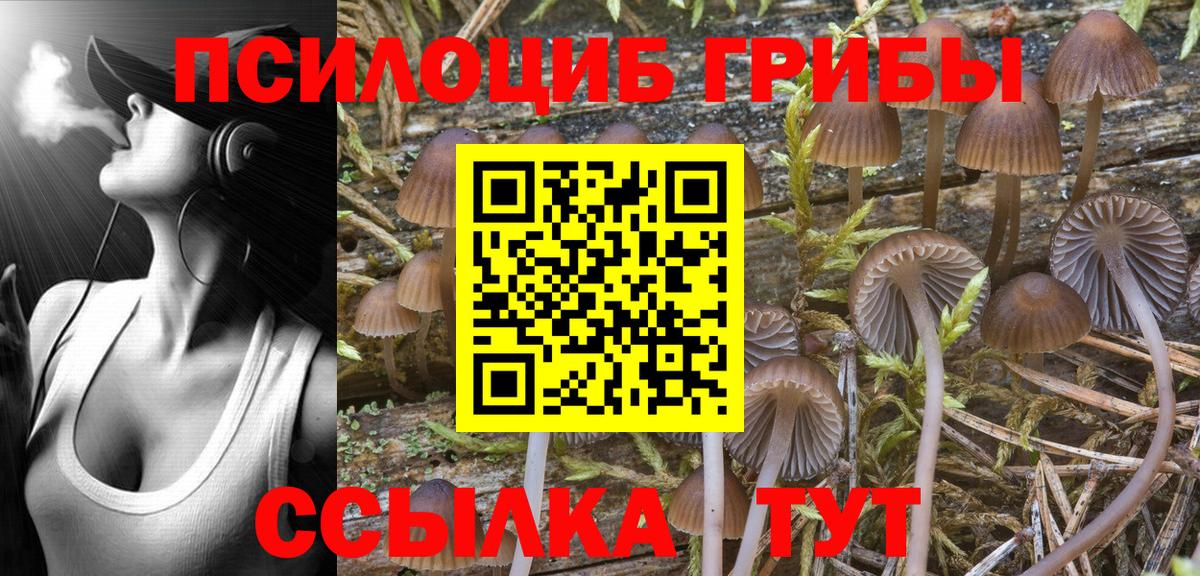 Галлюциногенные грибы GOLDEN TEACHER Вязники